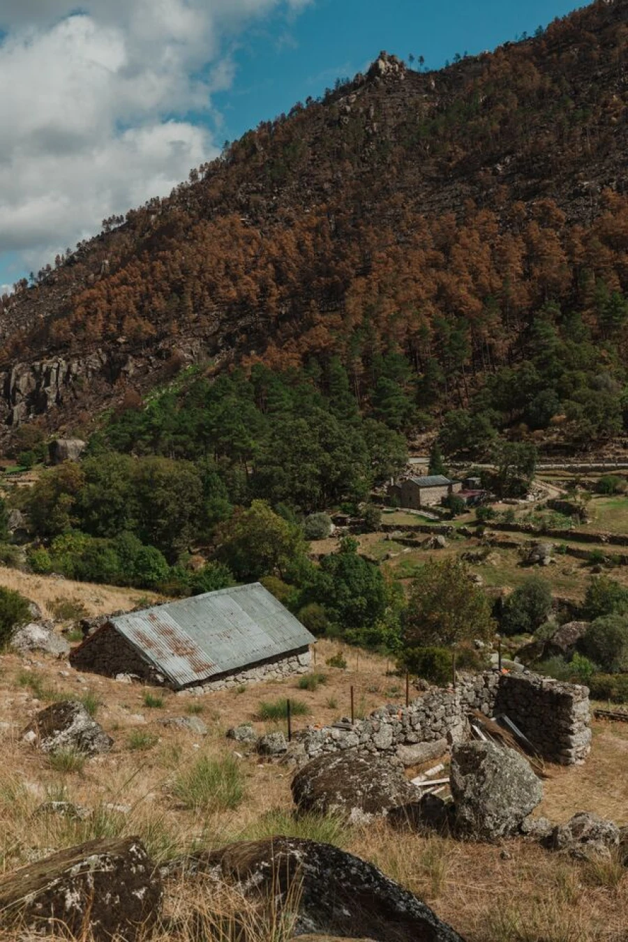Quinta T1 para Venda em Manteigas (São Pedro) Foto 8