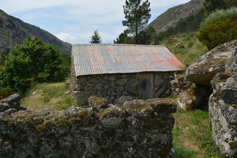 Quinta T1 para Venda em Manteigas (São Pedro) Foto 9