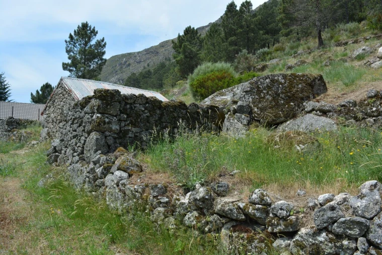 Quinta T1 para Venda em Manteigas (São Pedro) Foto 17