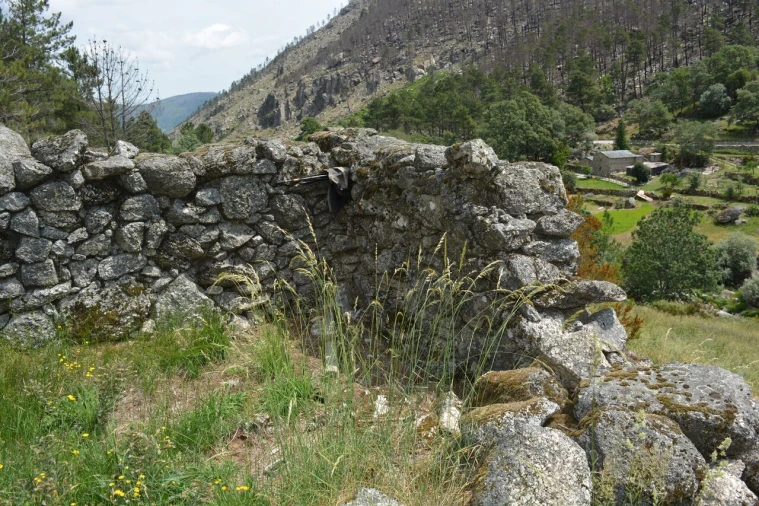 Quinta T1 para Venda em Manteigas (São Pedro) Foto 18