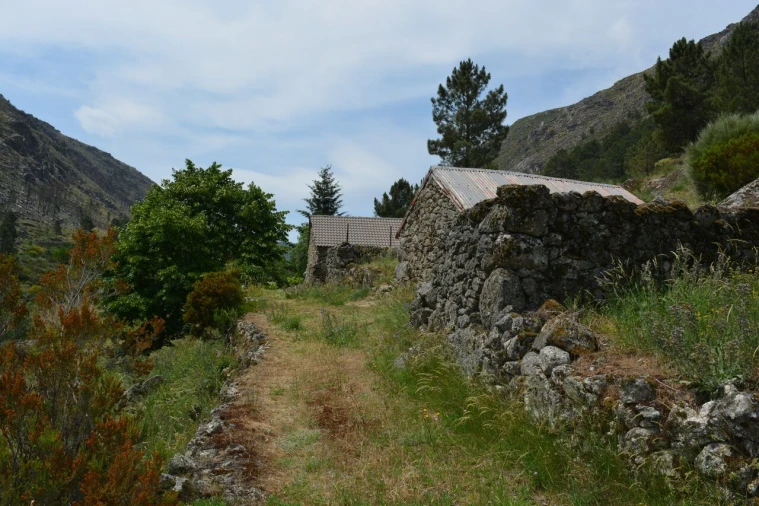 Quinta T1 para Venda em Manteigas (São Pedro) Foto 19