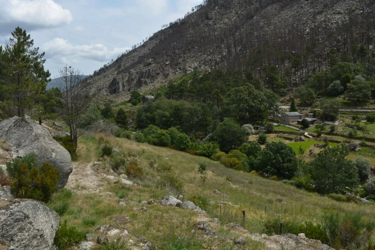 Quinta T1 para Venda em Manteigas (São Pedro) Foto 27