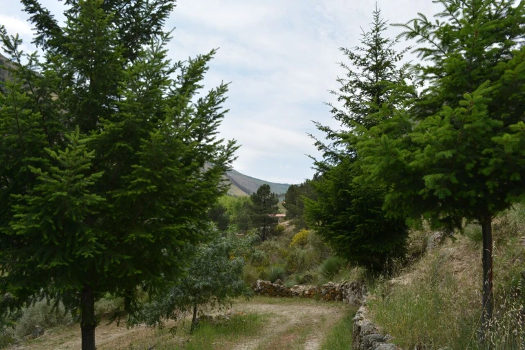 Quinta T1 para Venda em Manteigas (São Pedro) Foto 31