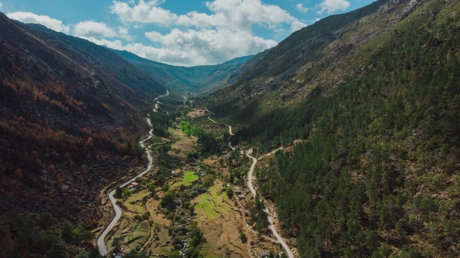 Quinta T1 para Venda em Manteigas (São Pedro)