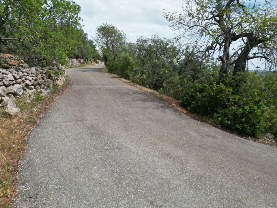 Terreno para Venda em Querença, Tôr e Benafim Foto 4