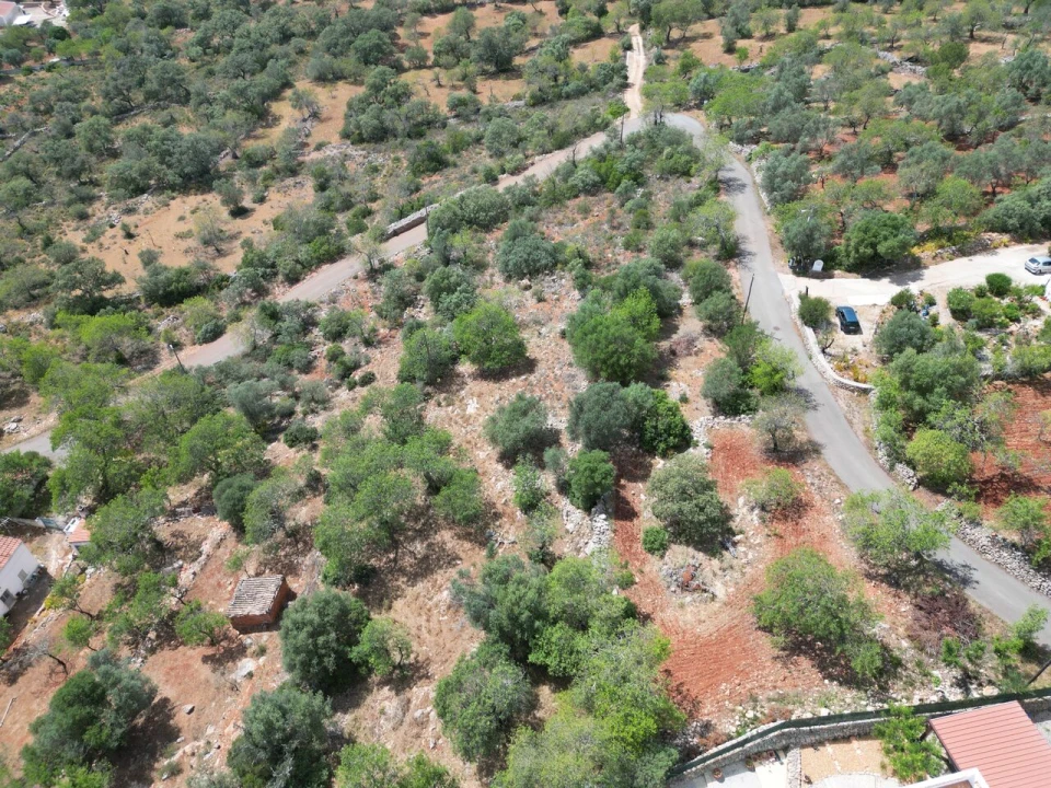 Terreno para Venda em Querença, Tôr e Benafim Foto 2