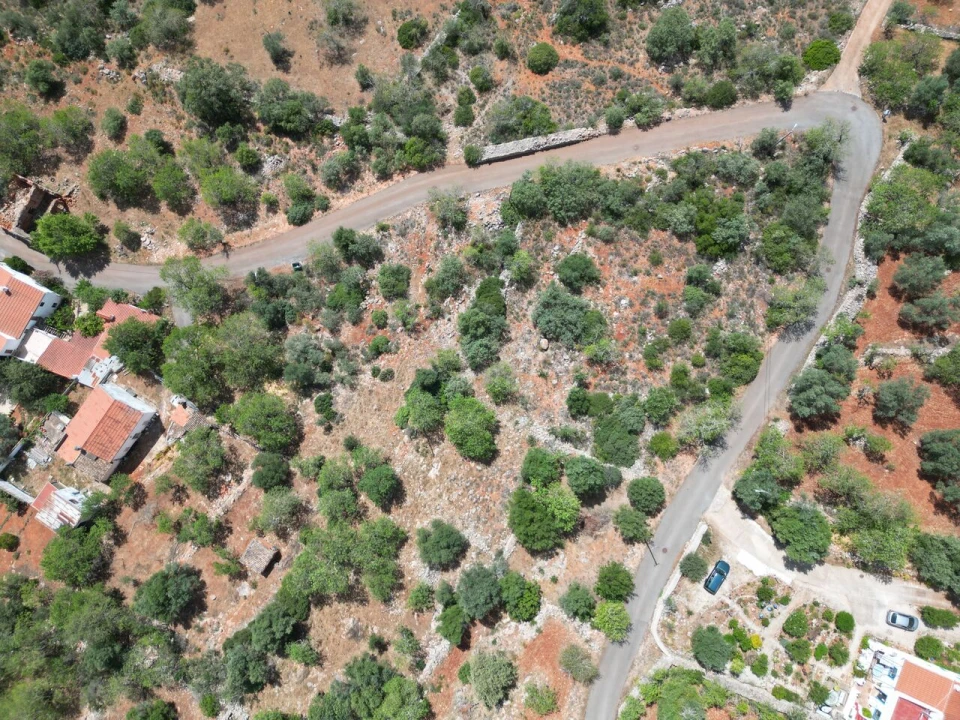 Terreno para Venda em Querença, Tôr e Benafim Foto 8