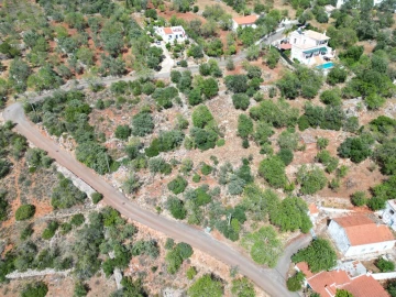 Terreno para Venda em Querença, Tôr e Benafim