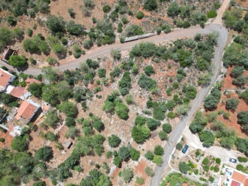 Terreno para Venda em Querença, Tôr e Benafim
