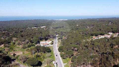 Terreno para Venda em Santa Maria e São Miguel, São Martinho, São Pedro Penaferrim