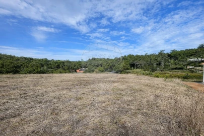 Terreno para Venda em Santa Maria e São Miguel, São Martinho, São Pedro Penaferrim