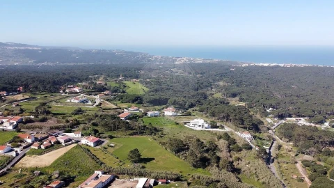 Terreno para Venda em Santa Maria e São Miguel, São Martinho, São Pedro Penaferrim