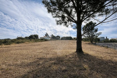 Terreno para Venda em Santa Maria e São Miguel, São Martinho, São Pedro Penaferrim