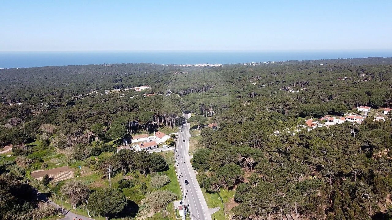 Terreno para Venda em Santa Maria e São Miguel, São Martinho, São Pedro Penaferrim Foto 10