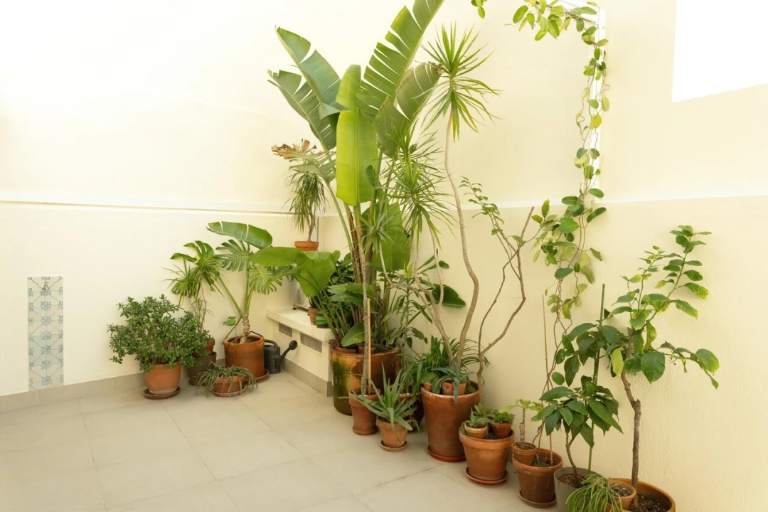 Apartamento T3 para Venda em Arroios Foto 16