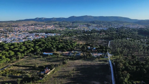 Terreno para Venda em Azeitão (São Lourenço e São Simão)
