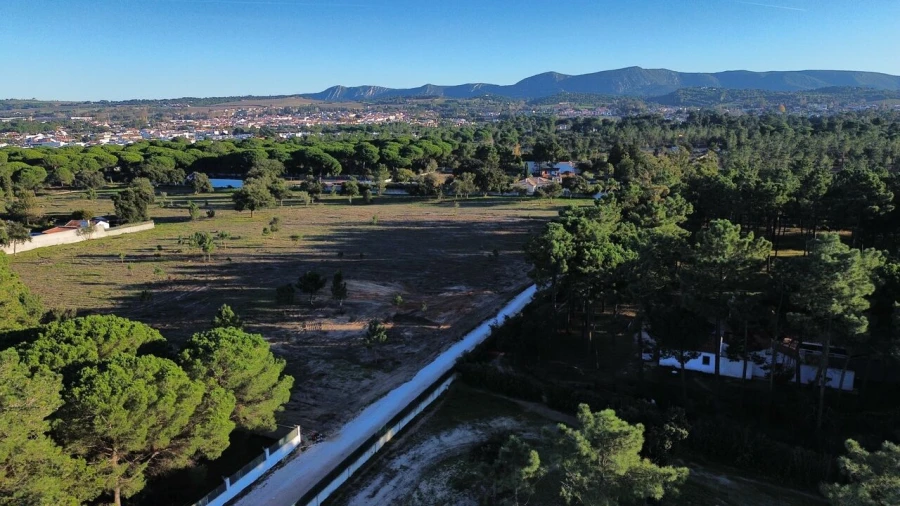 Terreno para Venda em Azeitão (São Lourenço e São Simão) Foto 2