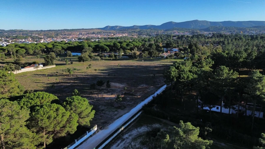 Terreno para Venda em Azeitão (São Lourenço e São Simão) Foto 3