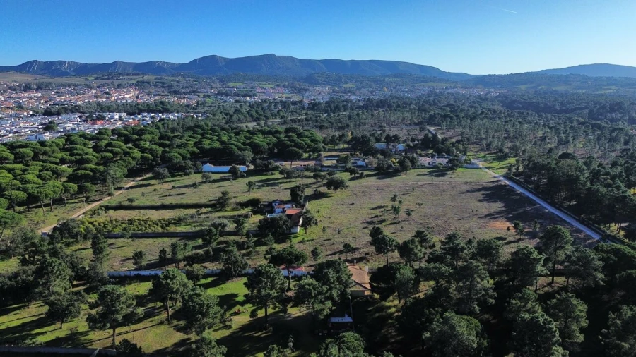 Terreno para Venda em Azeitão (São Lourenço e São Simão)