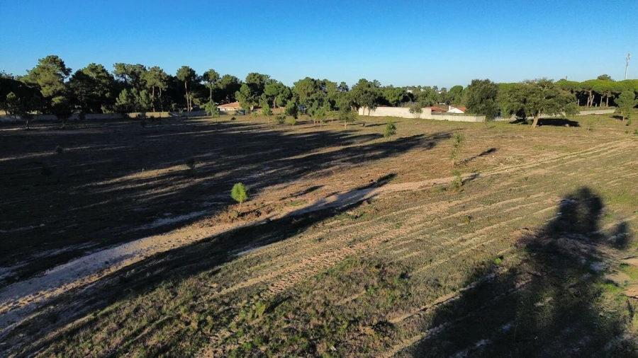 Terreno para Venda em Azeitão (São Lourenço e São Simão) Foto 5