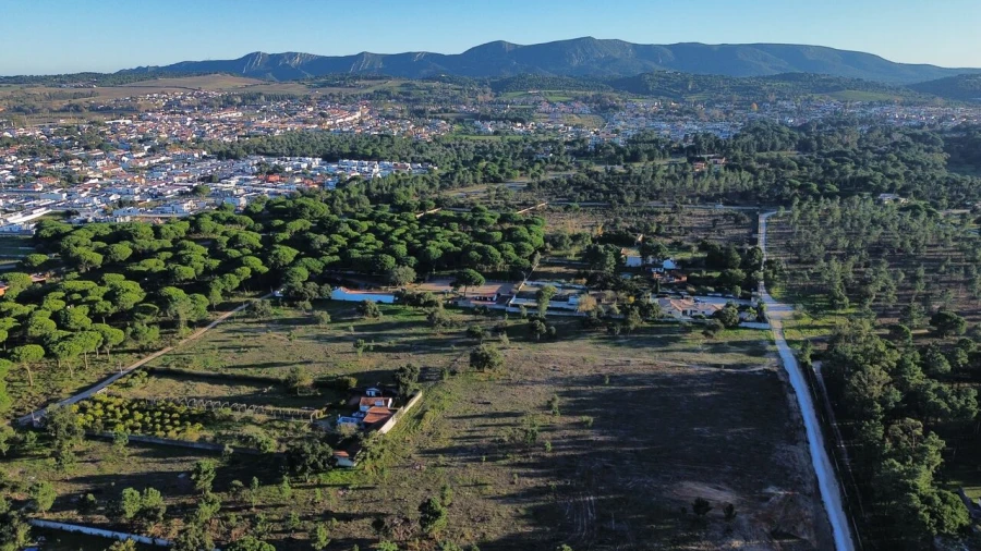 Terreno para Venda em Azeitão (São Lourenço e São Simão) Foto 7