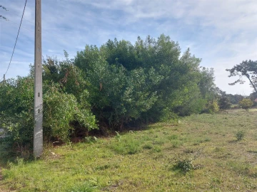 Terreno para Venda em Fonte de Angeão e Covão do Lobo