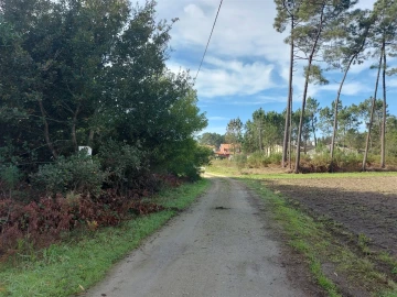 Terreno para Venda em Fonte de Angeão e Covão do Lobo