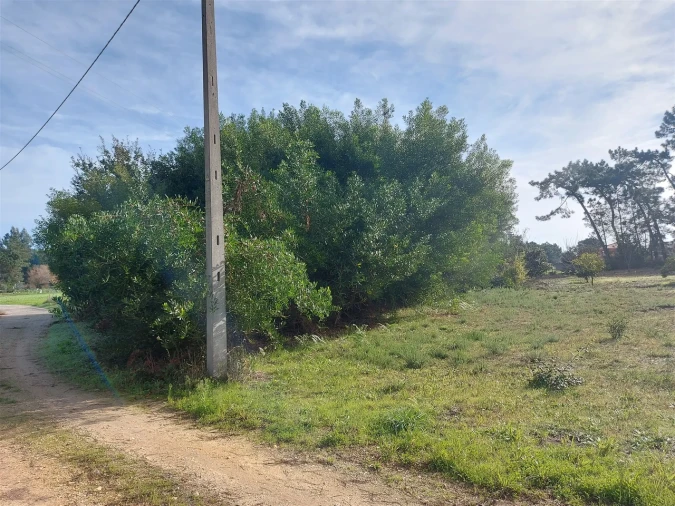 Terreno para Venda em Fonte de Angeão e Covão do Lobo Foto 3