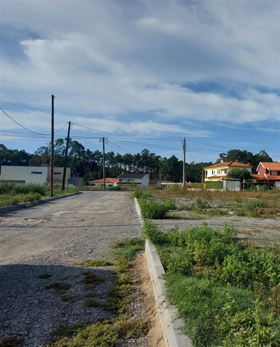 Terreno para Venda em Fonte de Angeão e Covão do Lobo Foto 10