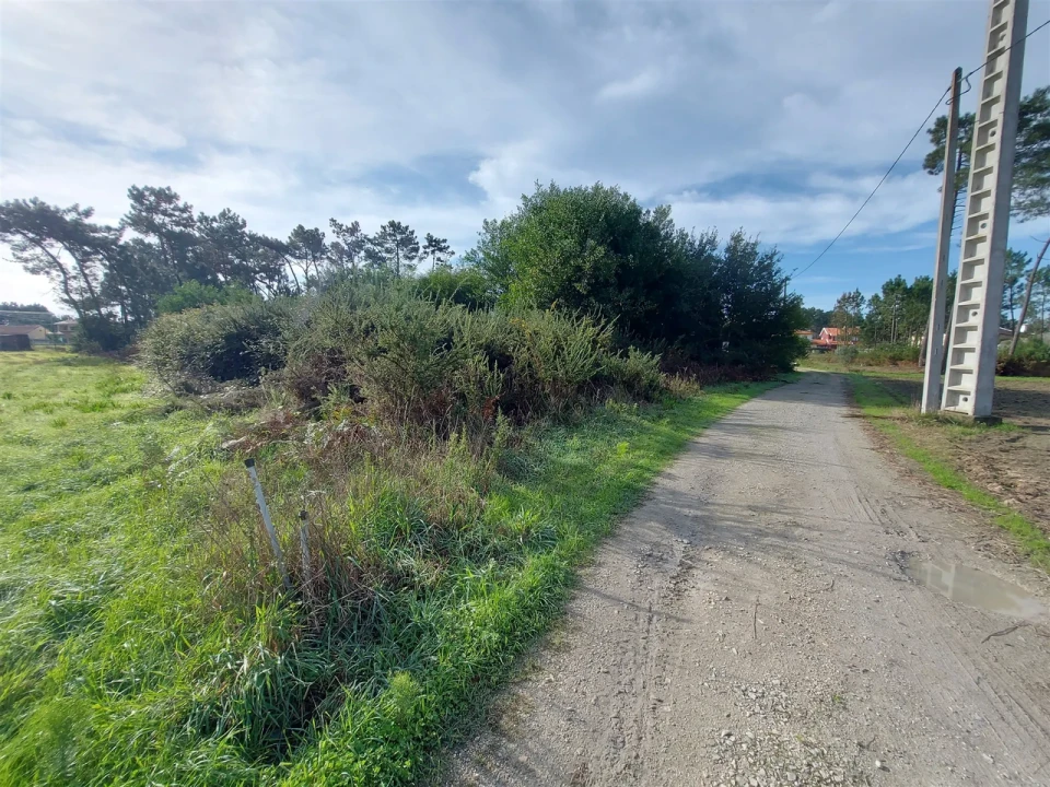 Terreno para Venda em Fonte de Angeão e Covão do Lobo Foto 6
