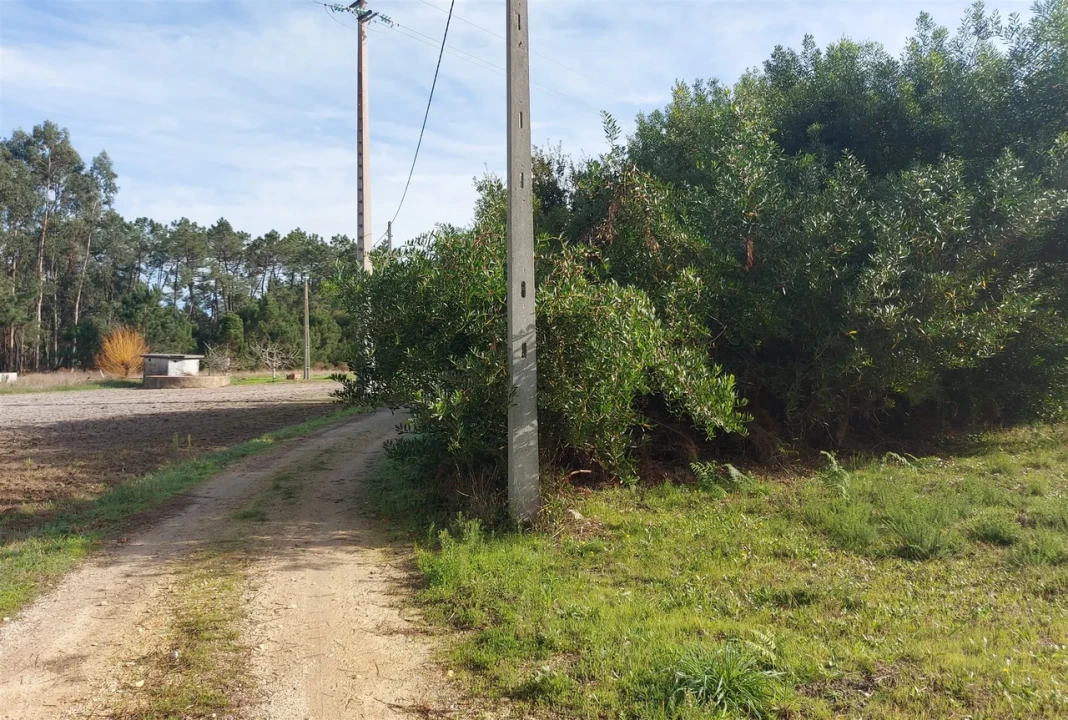 Terreno para Venda em Fonte de Angeão e Covão do Lobo Foto 14