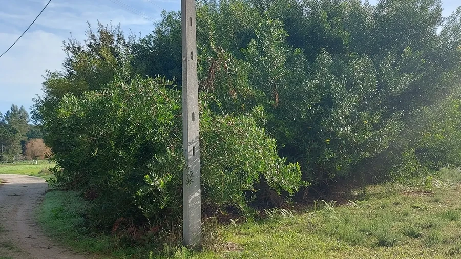 Terreno para Venda em Fonte de Angeão e Covão do Lobo