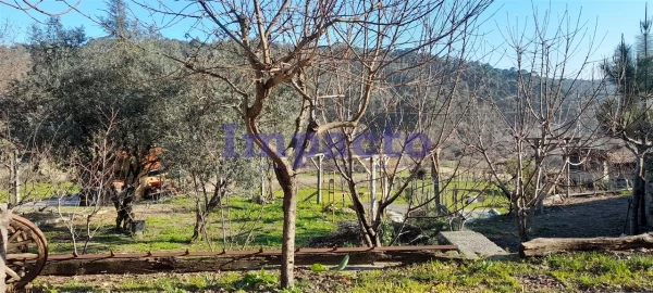 Moradia T3 para Venda em Vila Chã, Codal e Vila Cova de Perrinho