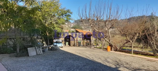 Moradia T3 para Venda em Vila Chã, Codal e Vila Cova de Perrinho