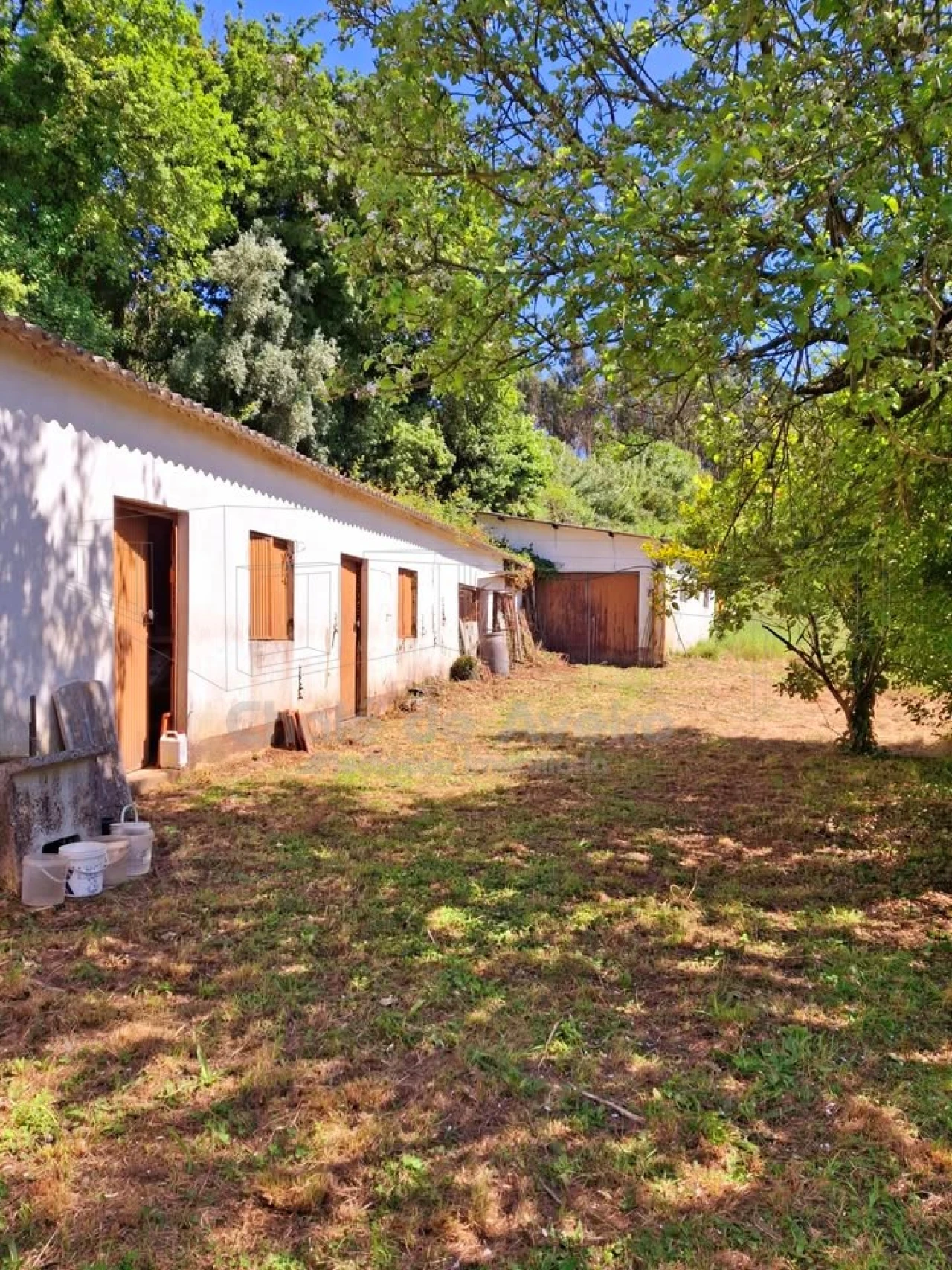 Quinta T5 para Venda em Águeda e Borralha Foto 39