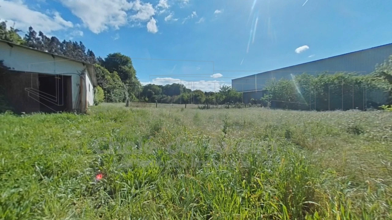 Quinta T5 para Venda em Águeda e Borralha Foto 40