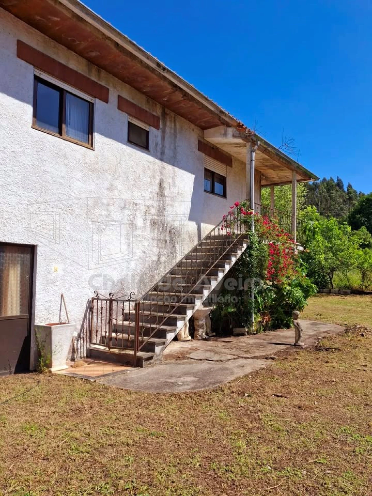 Quinta T5 para Venda em Águeda e Borralha Foto 44