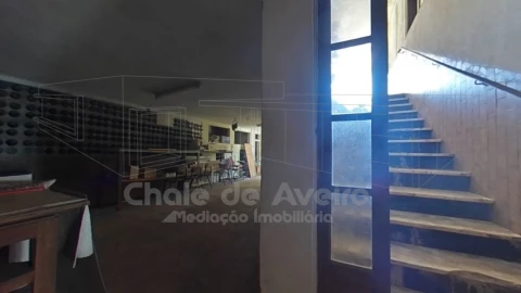 Quinta T5 para Venda em Águeda e Borralha