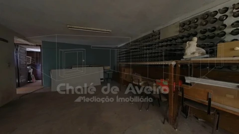 Quinta T5 para Venda em Águeda e Borralha