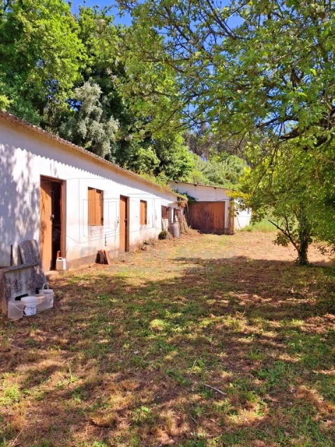 Quinta T5 para Venda em Águeda e Borralha