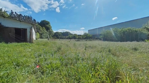 Quinta T5 para Venda em Águeda e Borralha