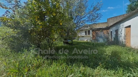 Quinta T5 para Venda em Águeda e Borralha