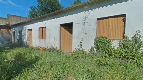Quinta T5 para Venda em Águeda e Borralha