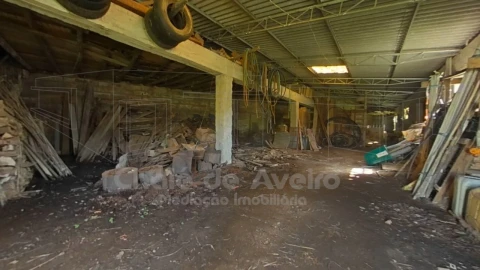 Quinta T5 para Venda em Águeda e Borralha