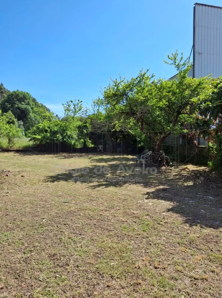 Quinta T5 para Venda em Águeda e Borralha Foto 46