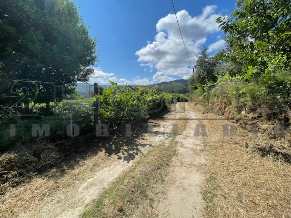 Moradia para Venda em Oliveira do Douro Foto 6