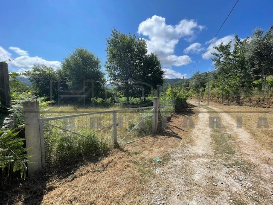 Moradia para Venda em Oliveira do Douro Foto 8