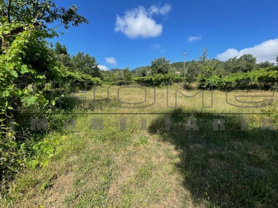 Moradia para Venda em Oliveira do Douro Foto 10