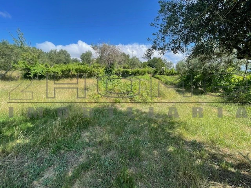 Moradia para Venda em Oliveira do Douro Foto 11