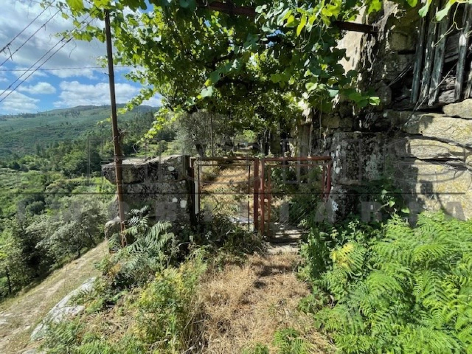 Moradia para Venda em Oliveira do Douro Foto 4